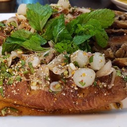 ปลากระพง น้ำตก