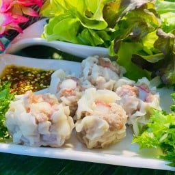 Dumplings Pa Lah by Nadine Branch 1