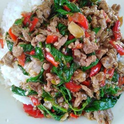 อาหารตามสั่ง เจ้กุ๊ก (ลำลูกกา49)