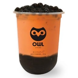 OWLCHA รพ.ม.นเรศวร มหาวิทยาลัยนเรศวร