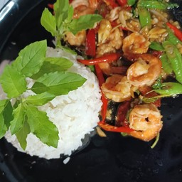 สารพัดผัดกระเพรา เชียงใหม่ นิมมาน