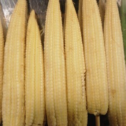 ข้าวโพดอ่อน