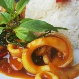 ผัดพริกแกงปลาหมึกราดข้าว