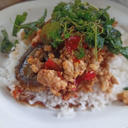 ไข่เยี่ยวม้า หมูสับ กระเพรากรอบ ราดข้าว