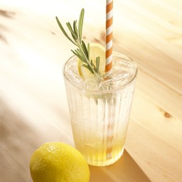 Honey Lime Soda