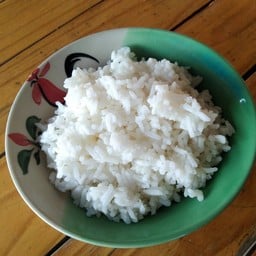 ลุงแดง ก๋วยเตี๋ยวเรือรังสิต (เจ้าเก่า)