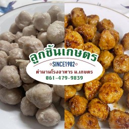 ลูกชิ้นเกษตร