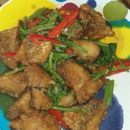 ชาอันวา