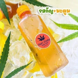 ชา​กัญ​ชา​แท้​-มะตูม
ชา​กัญ​ชา​แท้​100 %
บรรจุ​ขนาด​250​มล.
0963680686 