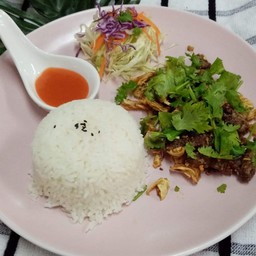 ข้าว+ไก่ทอดกระเทียม