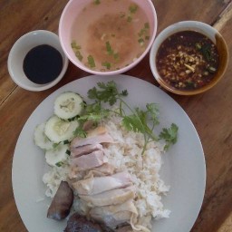 ต่ายข้าวมันไก่