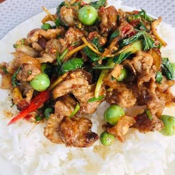 ผัดเผ็ดหมูป่าราดข้าว