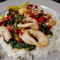 กระเพราปลาหมึกราดข้าว