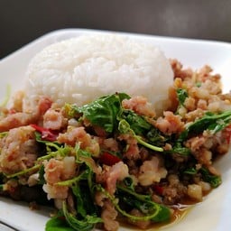 กะระเพราหมูสับ