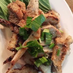 นมหมูย่าง