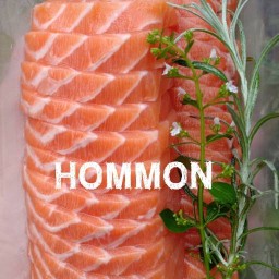 Hommon Salmon