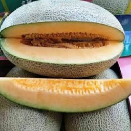 ตาแอ๊ด ผลไม้สด