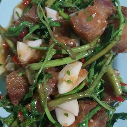 ผัดกระเฉดหมูกรอบ