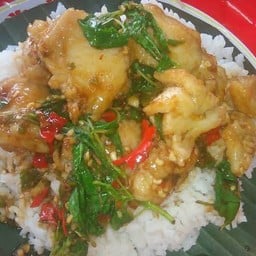 ข้าวกะเพราปลาดอลลี่