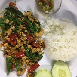 ข้าวกระเพาไก่