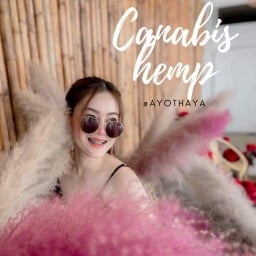 Rak chang × Ayothaya cafe