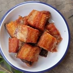 ปลาช่อนนาแดดเดียว