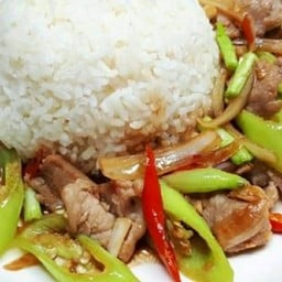 ผัดพริกอ่อนหมู ราดข้าว