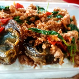 กระเพราหมู+ไข่เยี่ยวม้า