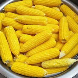 บ้านมะพร้าวน้ำหอม