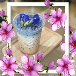 Iced Blue Pea Latte อัญชัญลาเต้