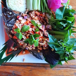 ปลานิลลุยสวน