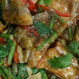 ปลากระพงผัดฉ่าย(ตัว)