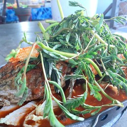 ปลาช่อนทอดแป๊ะซะ