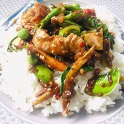 ผัดฉ่าปลาฉลามราดข้าว