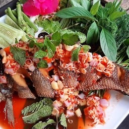 ปลาช่อนลุยสวน