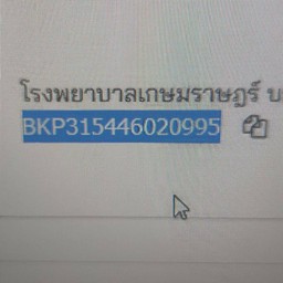 เกาเหลาเลือดหมู/ก๋วยจั๊บสูตรโบราณตลาดเสรี2