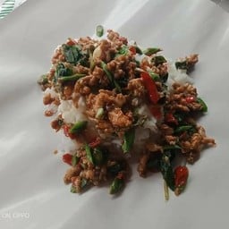 กะเพรา 20 บาท หมู่บ้านทวีทรัพย์วีลเลท