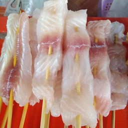 ปลาดอลลี่