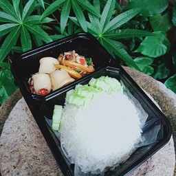 ข้าวกระเพราปลาหมึก