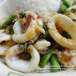 ข้าวกระเพราปลาหมึก /Squid Basil On Rice