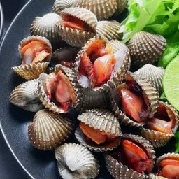 หอยแครง