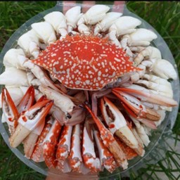 เผาๆ ณ ศาลาแดง ถนนเลียบคลองทวีวัฒนา