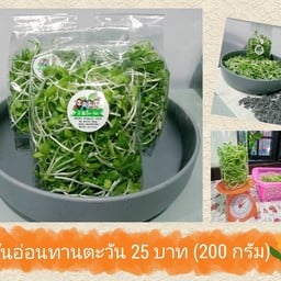 Khun Miang(คุณเมี่ยง)-แยกลำสาลี บางกะปิ
