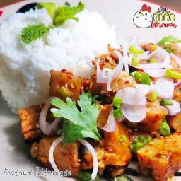 บ้านกุ๊กกิ๊กไก่ย่างนมสด