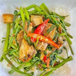 กุ๊กสมบูรณ์-โนนทัน