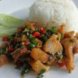 ข้าวหมูกรอบผัดพริกเกลือ