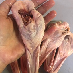 ปากเป็ดสดติดลิ้น1โล (มี2โล)