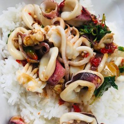 กะเพราปลาหมึกราดข้าว