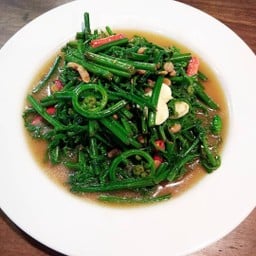 ผัดผักกูด