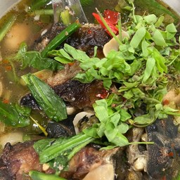 ต้มโคล้งปลาดุกใบมะขามอ่อน